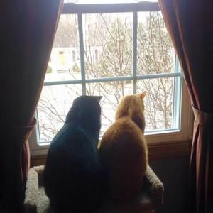 Meet your Posher, Jaime